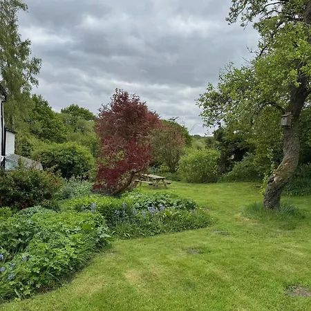 Longmire 度假居 *