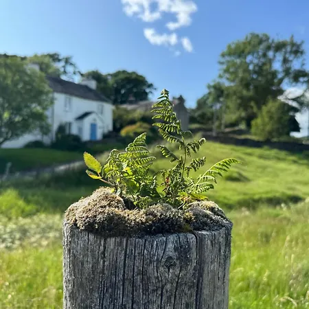 度假居 Longmire *