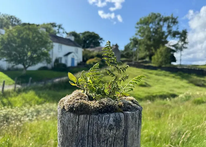 度假居 Longmire *